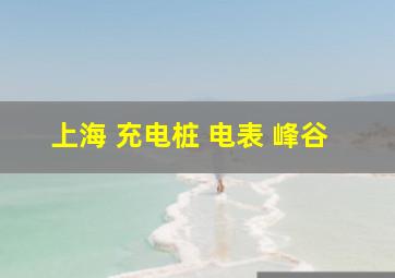 上海 充电桩 电表 峰谷